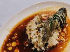 -古南都·老广东酒楼(龙江店)