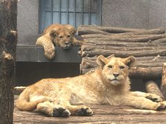 -西安秦岭野生动物园