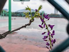 -江南大学(蠡湖校区)