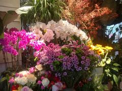-春暖花开(西溪店)