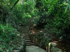 -九曜山