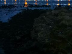 -黑石礁公园