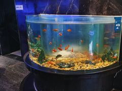 -王家渡火锅店(亦庄店)