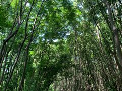 -同里国家湿地公园