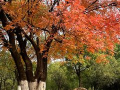 -艾溪湖湿地公园