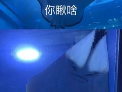 -成都浩海立方海洋公园