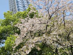-玛格萝妮比萨屋(四平店)