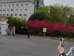 -中央民族大学