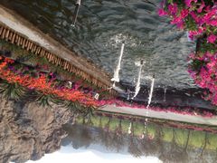 盈香生态园-盈香心动乐园