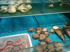 -鑫釜山海鲜烧烤(鑫丰国际店)