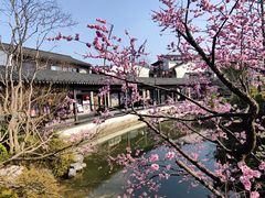-雅达·阳羡溪山小镇中心