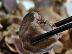 -裕华(南华东路店)