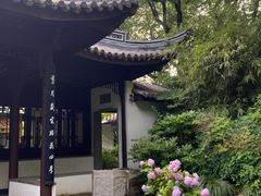 -无锡蠡湖国家湿地公园-蠡园