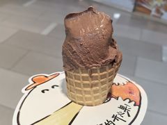 -野人先生现做冰淇淋(北京环宇荟店)