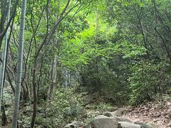 -莫干山风景区