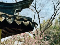 -秋霞圃