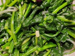 -鸢飞潍坊菜馆(鸢飞大酒店)