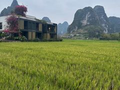 -明仕田园