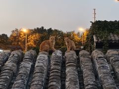 -EATALIA意塔利意式餐厅(鼓楼店)