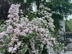 -元大都城垣遗址公园