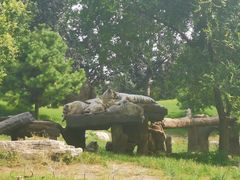 -北京野生动物园