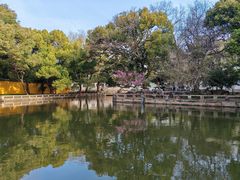 -西园戒幢律寺