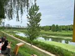 -洨河生态公园