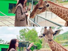 -泉州海丝野生动物世界