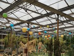 -南宫五洲植物乐园