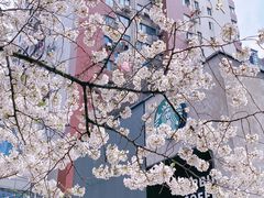 -玛格萝妮比萨屋(四平店)