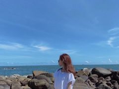 -广东惠东海龟国家级自然保护区