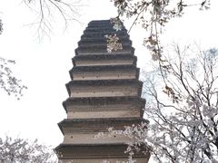 -西安博物院