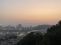 -福道