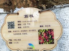 -南沙蒲洲花园