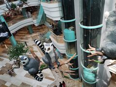 -大族广场Mall&More