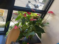-章氏(广粤路店)