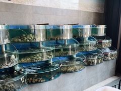 -蓝珊甄选海鲜自助·火锅大排档(近阿那亚店)