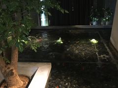 -大渔之观(安贞店)