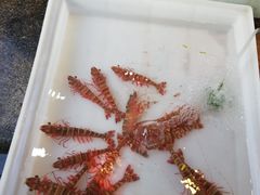 -拉威海鲜市场