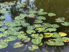 -郑州植物园