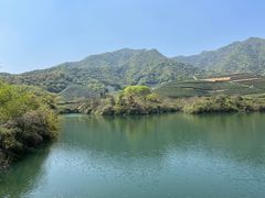 -龙坞茶村