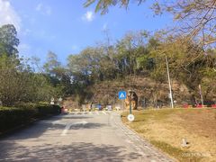-田心森林公园