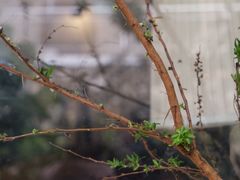 -彳亍咖啡·这里(水湾路店)