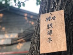 -鬼味烤翅(南锣鼓巷店)