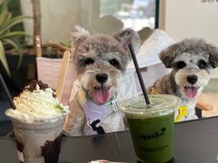 -J Create城市露营咖啡·简餐·宠物(上海动物园店)