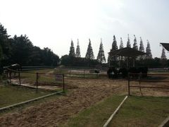 android_upload_pic-太阳岛旅游度假区
