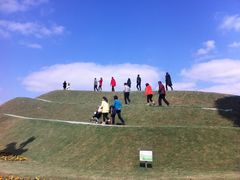 -南通洲际绿博园