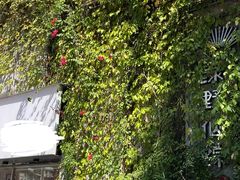 -绿野仙踪·印象(香樟名都店)