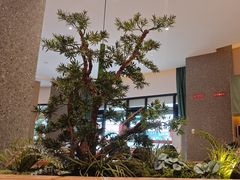 -鸡毛店·川菜(文殊院店)