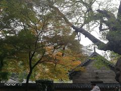 -青岛崂山太清宫